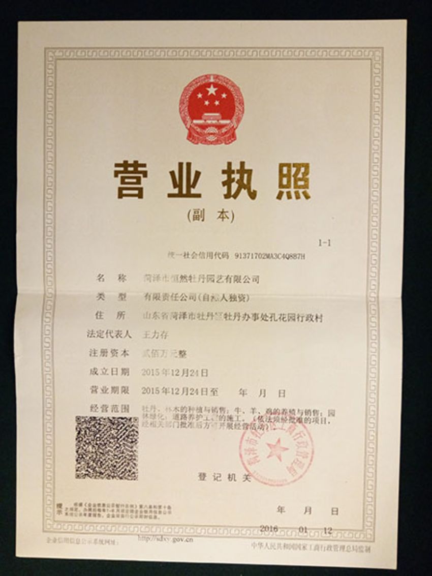 點(diǎn)擊查看詳細(xì)信息<br>標(biāo)題：營(yíng)業(yè)執(zhí)照 閱讀次數(shù)：1248