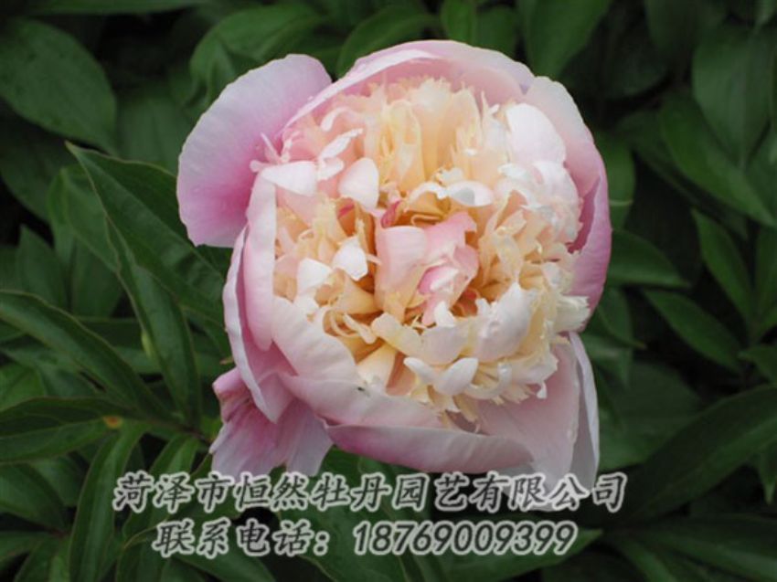 點擊查看詳細信息<br>標(biāo)題：湖光山色 閱讀次數(shù)：1228