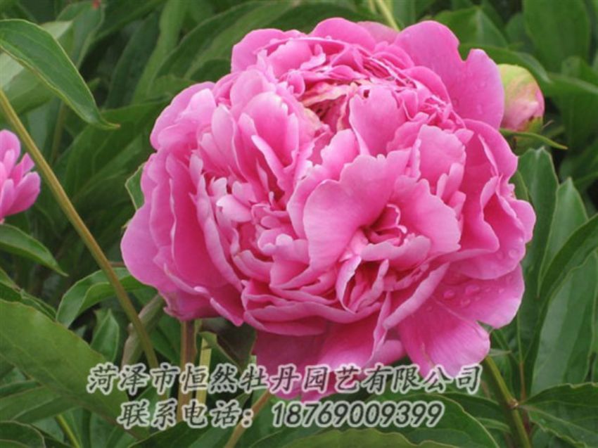 點擊查看詳細信息<br>標(biāo)題：月照山河 閱讀次數(shù)：1076